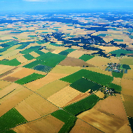Agriculture et elevage